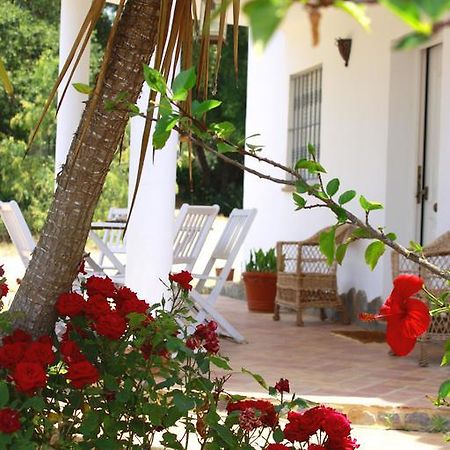Casa El Soto Βίλα Vejer de la Frontera Εξωτερικό φωτογραφία